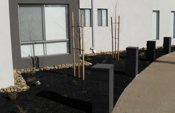 Landscaping