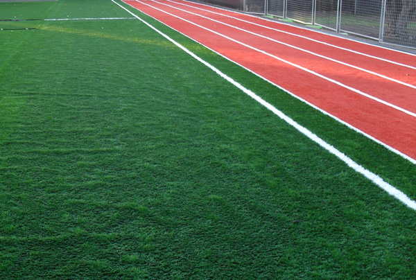 Synthetic Lawn — Dome Contracting project