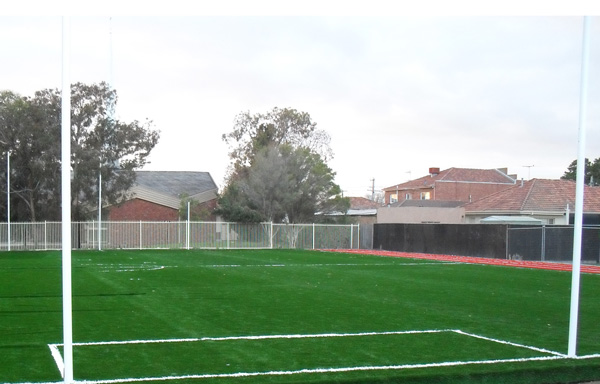 Synthetic Lawn — Dome Contracting project