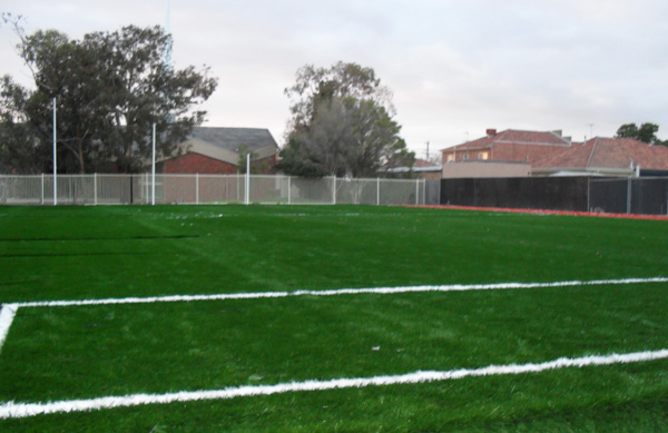 Synthetic Lawn — Dome Contracting project