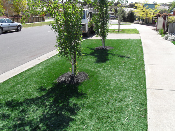 Synthetic Lawn — Dome Contracting project