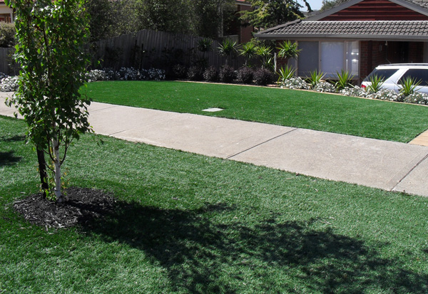 Synthetic Lawn — Dome Contracting project