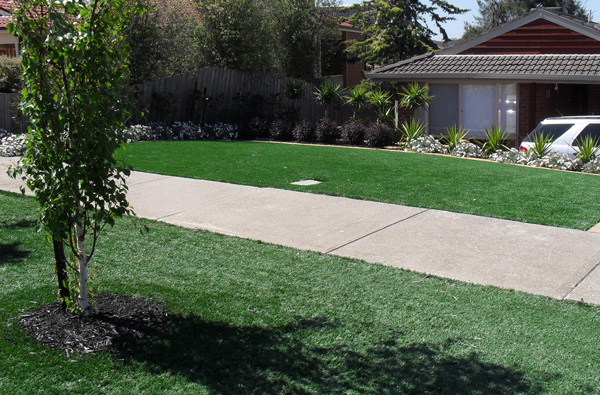 Synthetic Lawn — Dome Contracting project